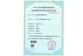 計(jì)算機(jī)軟件著作權(quán)登記證書(shū)